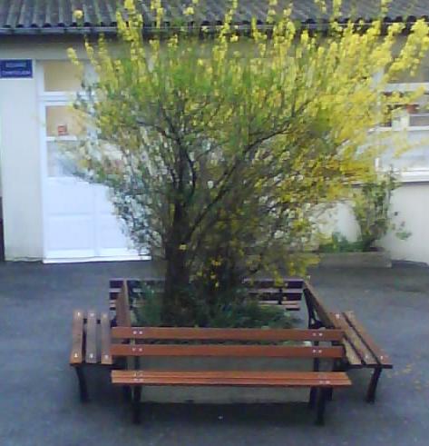 Les bancs rénovés du Square Chatelain